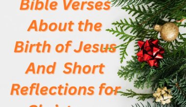 Bible Verses About the Birth of Jesus And Short Reflections for Christmas