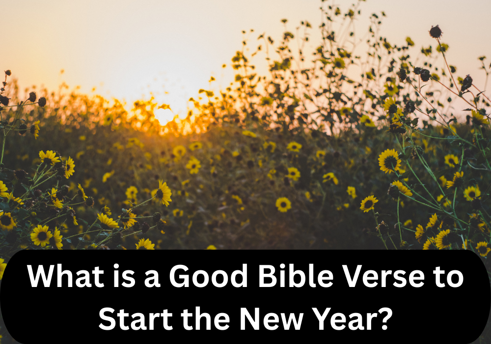 What is a Good Bible Verse to Start the New Year? The 7 Most Powerful ...