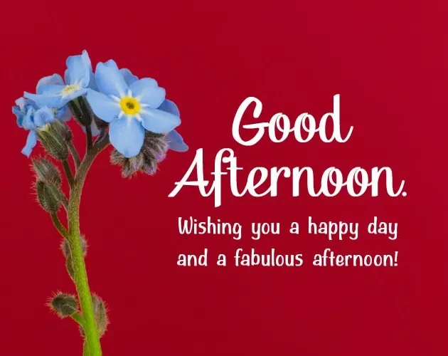 Heartwarming Afternoon Greetings Brighten Someone’s Day with Kind & Lovely Words