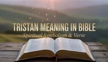 What Does The Name Tristan Mean in the Bible Spiritual Symbolism, Sorrow & Strength