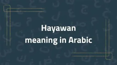 Hayawan Meaning in Arabic Explained with Quran & Usage