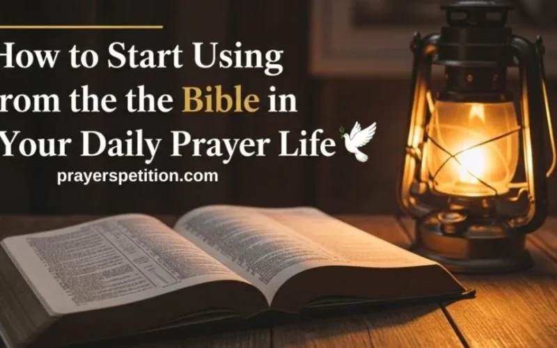Prayers in the Bible Powerful Examples That Still Inspire Faith