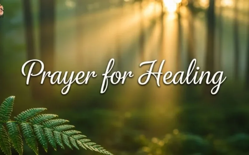 Powerful Prayer for Healing Restore Body Mind and Soul Today