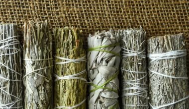 Spiritual Uses of Herbal Bundles to Cleanse Crystals: The Ultimate Guide
