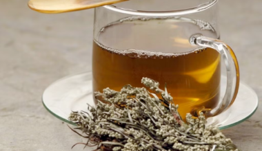 How Mugwort Tea Is Used for Spiritual Cleansing and Inner Reflection